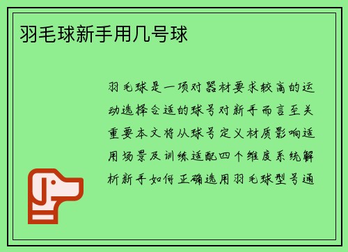 羽毛球新手用几号球